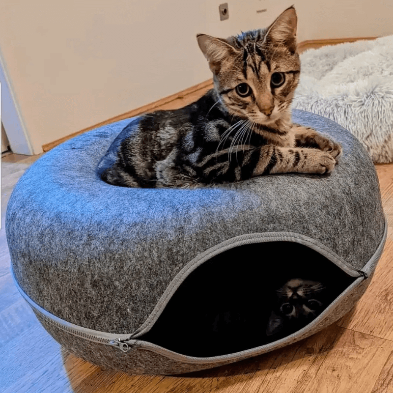Pet Parents™ Cozy Cove Bed