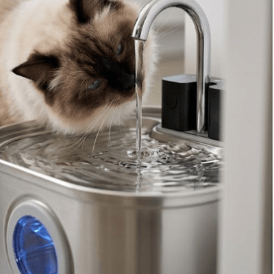 Pet Parents™ Neko Flow Water Fountain