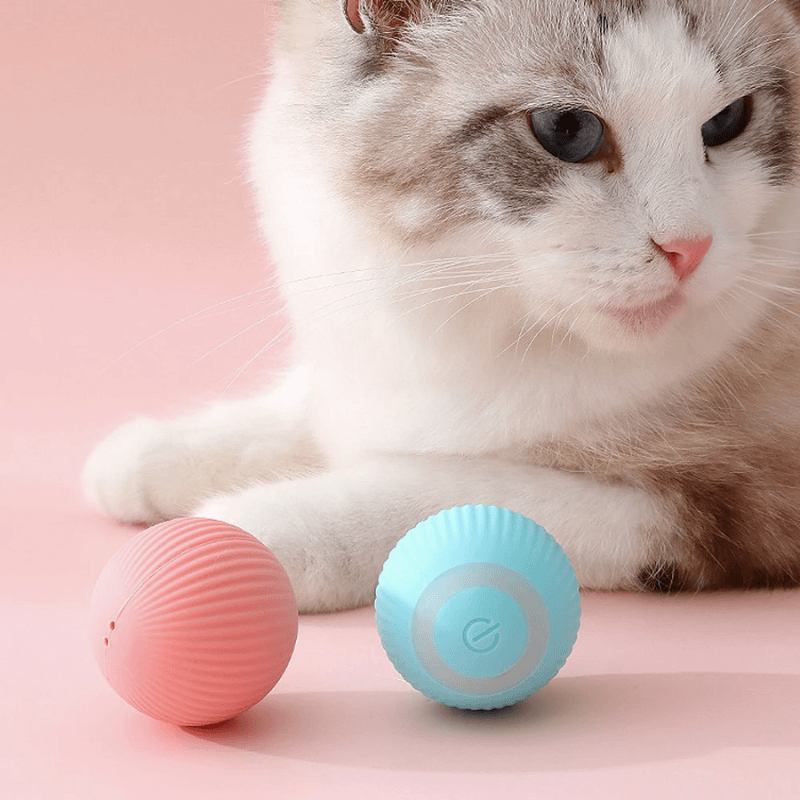 Pet Parents™ Family Bundle