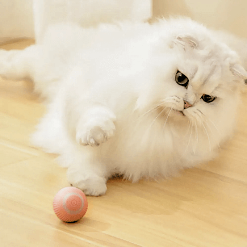 Pet Parents™ Essentials Bundle