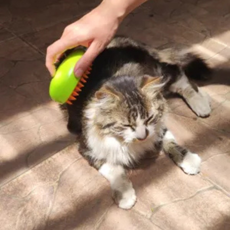 Pet Parents™ Steamie Brush