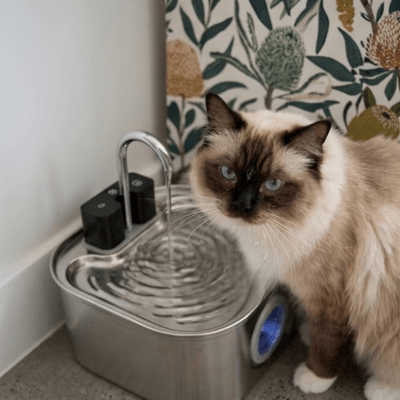 Pet Parents™ Neko Flow Water Fountain