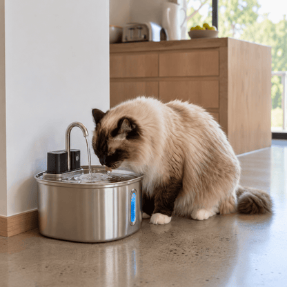 Pet Parents™ Neko Flow Water Fountain