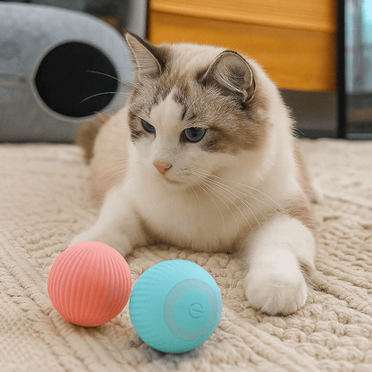 Pet Parents™ Rolly Mate Ball